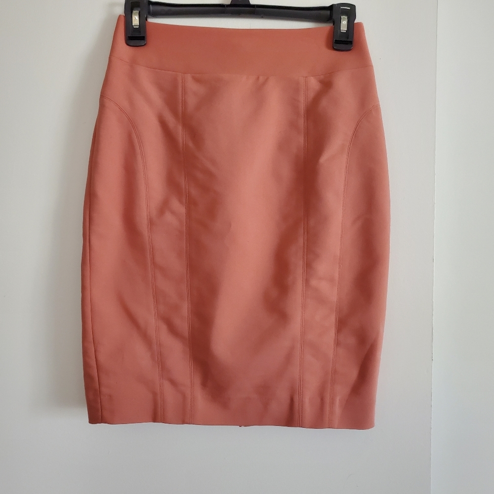 Express Pencil Skirt